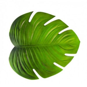 Folha Verde Decorativa em Eva 47cmx42cm