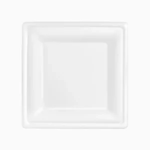 Pratos Branco Biodegradável 26cm